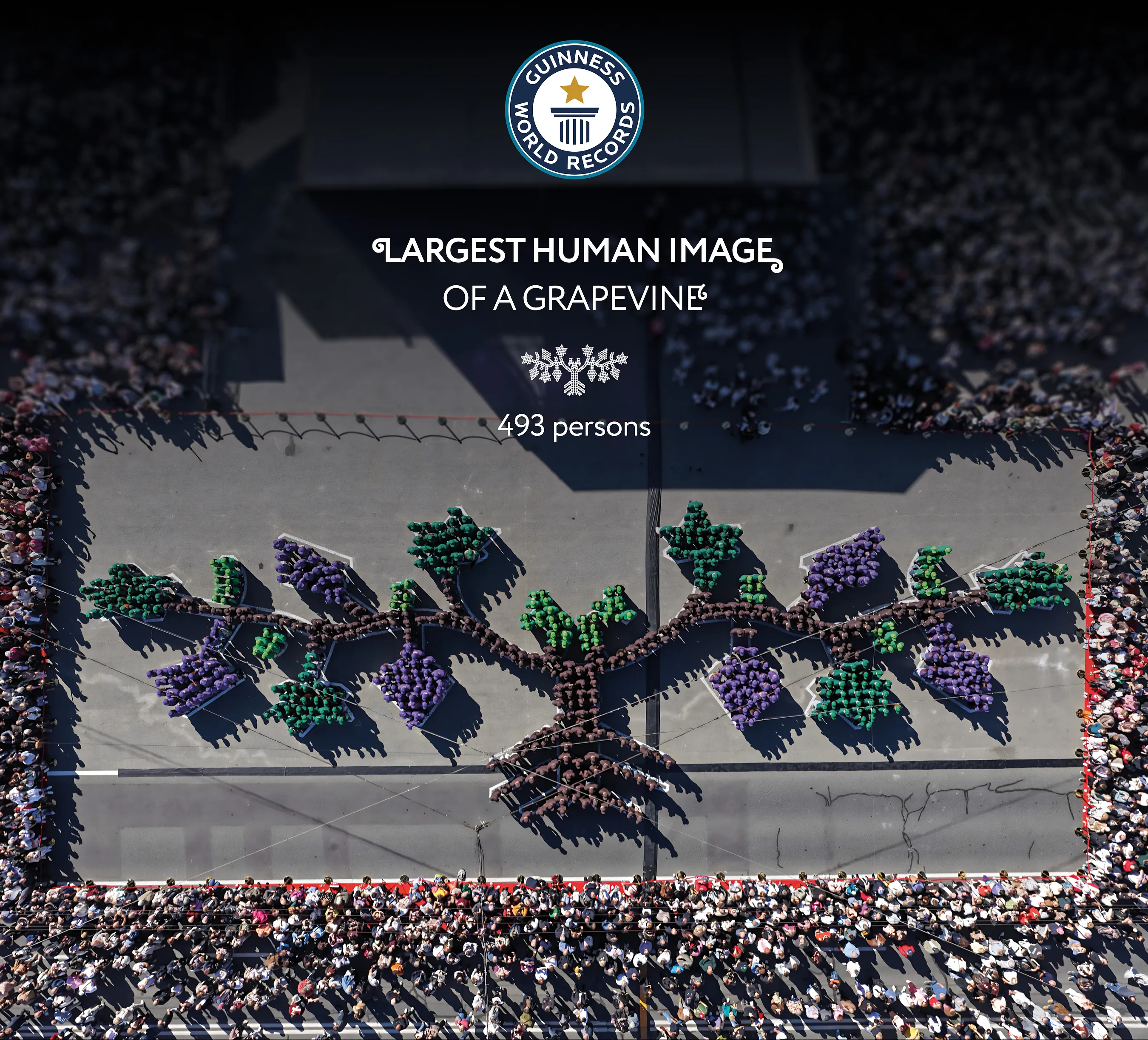 Moldova achieves GUINNESS WORLD RECORDS™ title as 493 people form world's largest human image of a grapevine