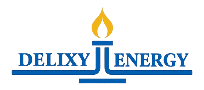 Delixy Holdings Limited Issues 2026 Chairman’s Letter to Shareholders